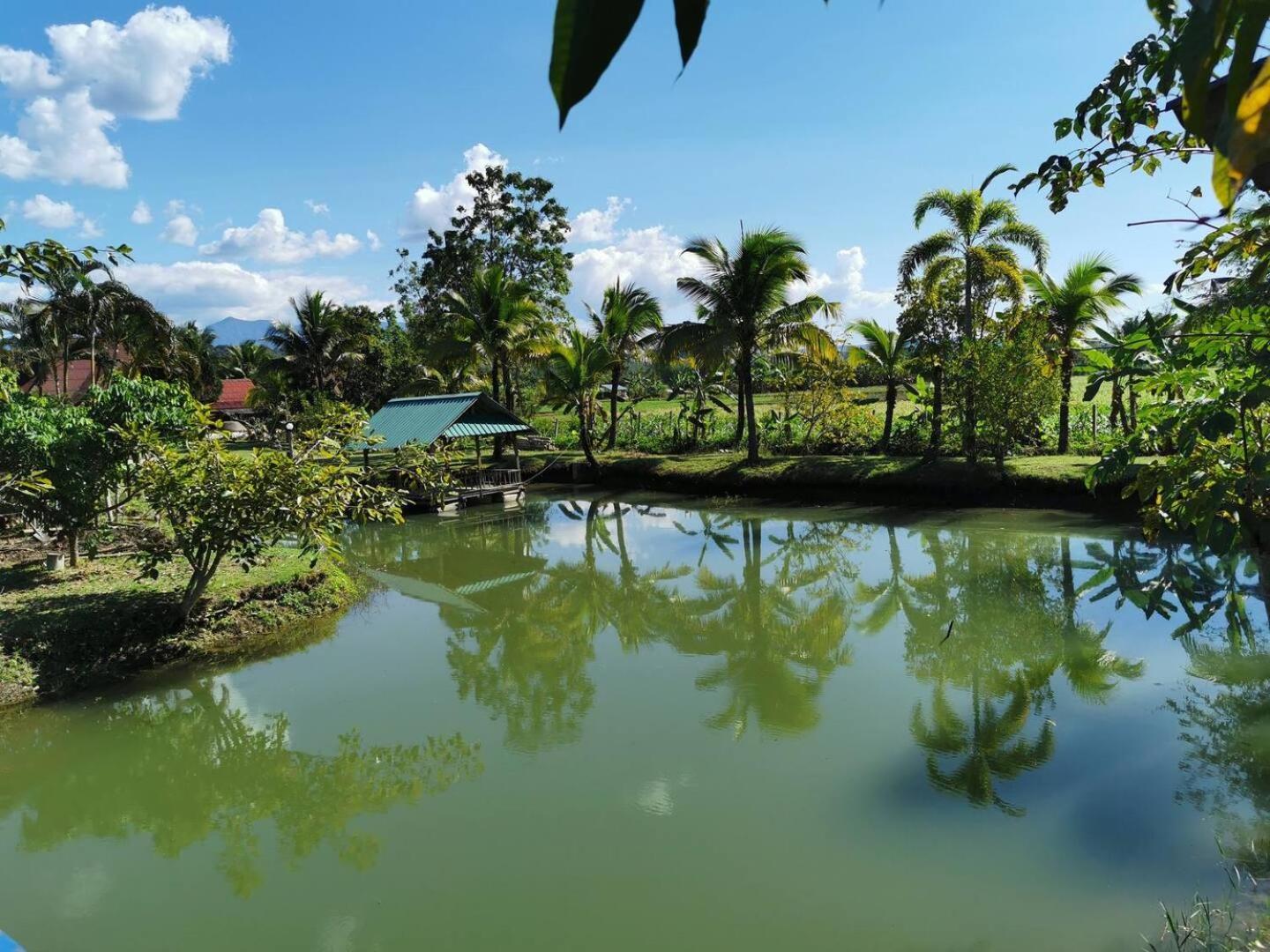 Wichouda Cottage เชียงดาว ภายนอก รูปภาพ